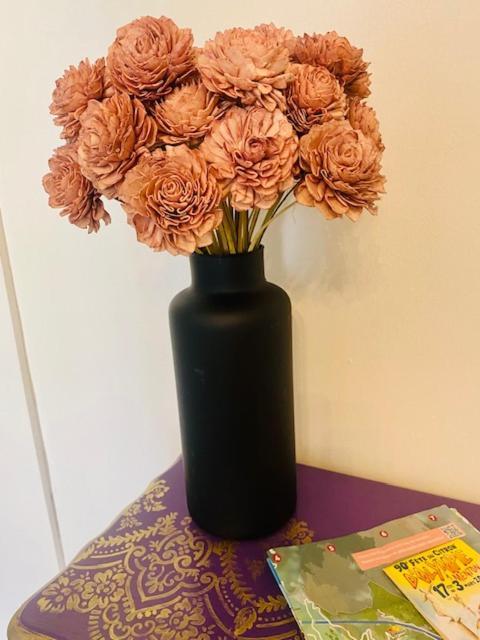 Apartamento Les Fleurs Astoria Menton Exterior foto
